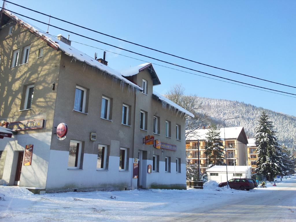 Guest House Pod Lesem Merklin Екстериор снимка